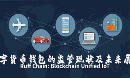 数字货币钱包的监管现状及未来展望