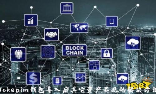 
Tokenim钱包导入后其它资产不见的解决方法