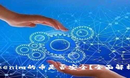 能添加到Tokenim的币是否安全？全面解析与风险评估