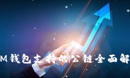 TokenTokenIM钱包支持的公链全面解析及使用指南