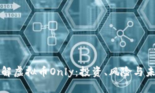 深入了解虚拟币Only：投资、风险与未来发展