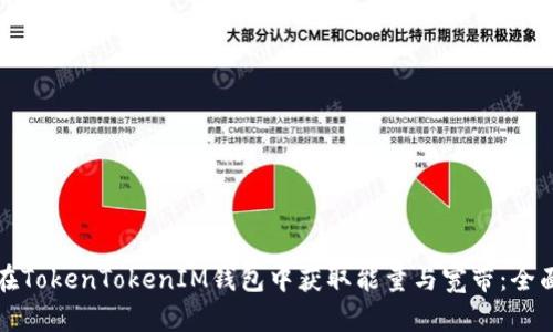 如何在TokenTokenIM钱包中获取能量与宽带：全面指南