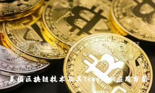 美团区块链技术及其TokenIM应用分析