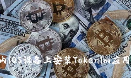 如何在国内iOS设备上安装Tokenim应用：完整指南