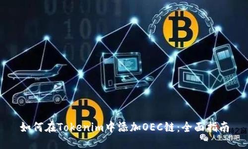 如何在Tokenim中添加OEC链：全面指南