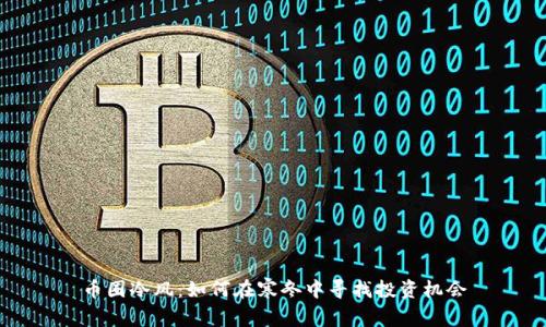 币圈冷风：如何在寒冬中寻找投资机会