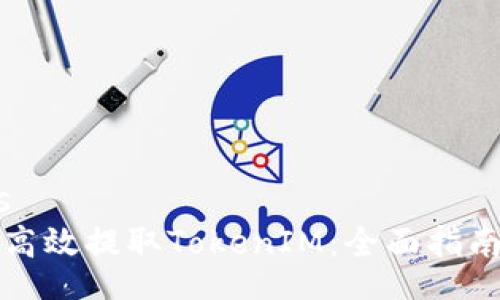 politics
  如何高效提取TokenIM：全面指南与技巧