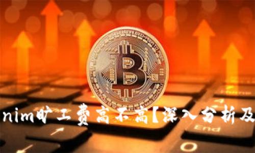 Tokenim旷工费高不高？深入分析及解答