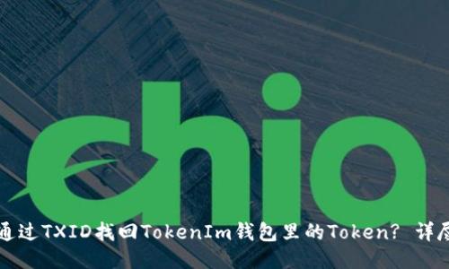 如何通过TXID找回TokenIm钱包里的Token? 详尽指导