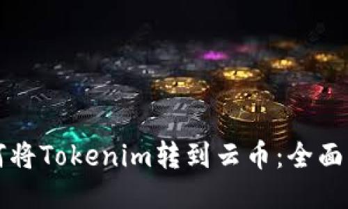 如何将Tokenim转到云币：全面指南