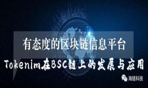 Tokenim在BSC链上的发展与应用