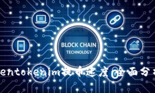 如何提升Tokentokenim提币速度：全面分析与操作指南